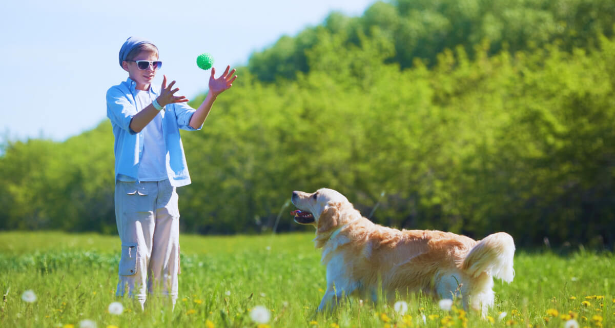 Eyewear Guide for Breeders Seeking Durable and Fashionable Options